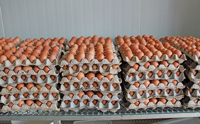 Fresh Farm Eggs